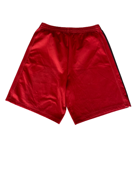 Brevin Pritzl Wisconsin Basketball Player Exclusive Practice Shorts (Size L)