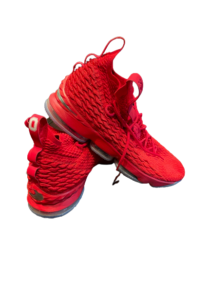 Lebron james ohio state shoes sales