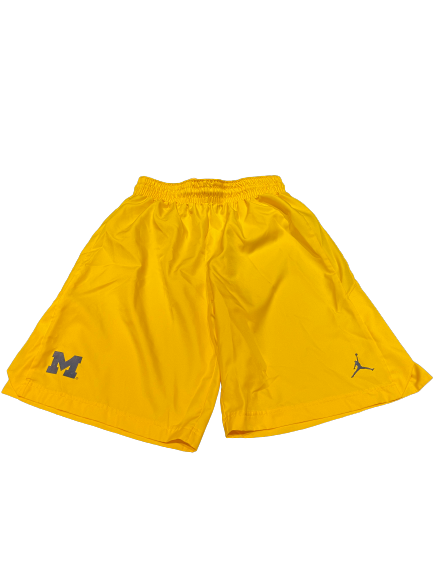 Michigan Jordan Shorts (Size M)