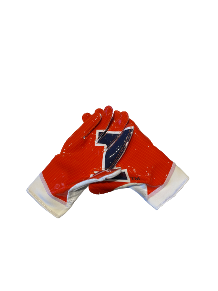 Dawson DeGroot Illinois Football Team Issued Player Exclusive Gloves (Size L)