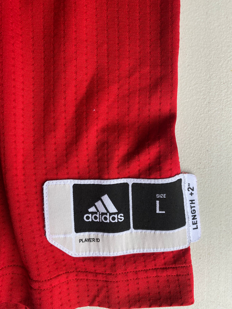 James Palmer Jr. Game Worn Jersey