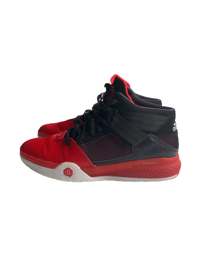 Tony Hicks Louisville Team Issued Derrick Rose Shoes (Size 12)