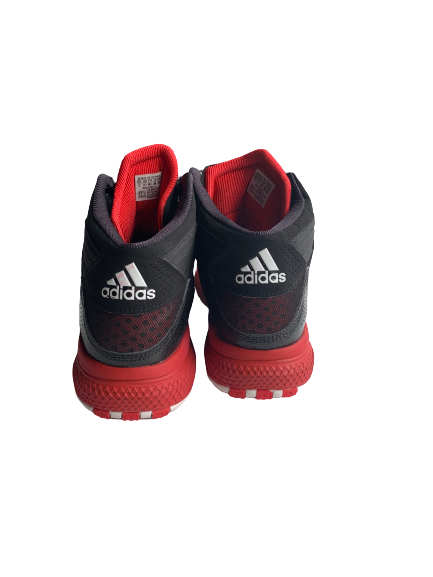 Tony Hicks Louisville Team Issued Derrick Rose Shoes (Size 12)