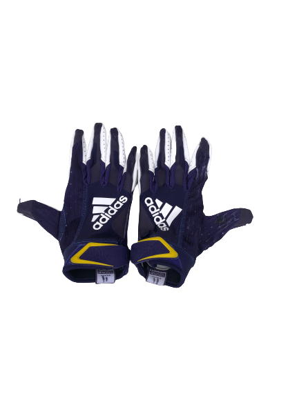 Blake Proehl East Carolina Football Game Worn Gloves (Size L)