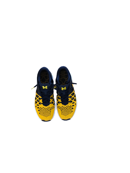 Michigan Nike Shoes (Size 11.5)