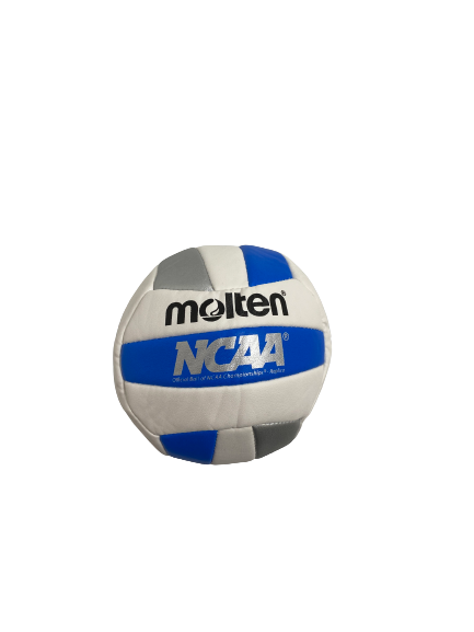 Grace Loberg Wisconsin Volleyball Signed National Championship Mini Volleyball