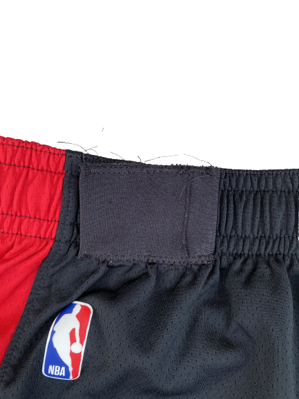 Jordan Schakel Atlanta Hawks Team Exclusive Practice Shorts (Size L)
