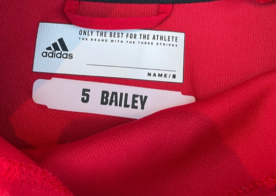 Patrick Bailey NC State Baseball Team Issued Sweatshirt (Size L)