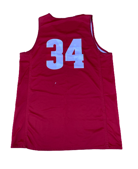 Brad Davison Wisconsin Basketball Team Exclusive Practice Worn Reversible Jersey (Size L)