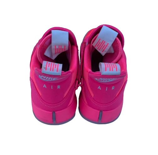 Priscilla Smeenge Michigan Basketball Exclusive Breast Cancer Awareness Jordan 33 Shoes (Size Men&