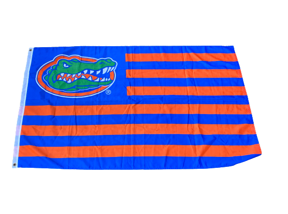 Brett DioGuardi Florida Wall Flag