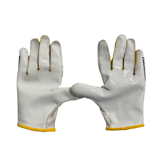 Will Hart Michigan Football Team Exclusive Gloves (Size XL)