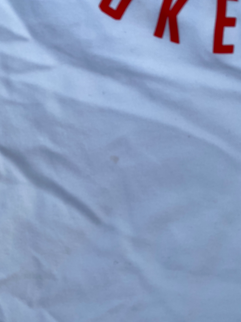 K.J. McDaniels Toronto Raptors Team-Issued Nike Long Sleeve Shirt (Size LT)